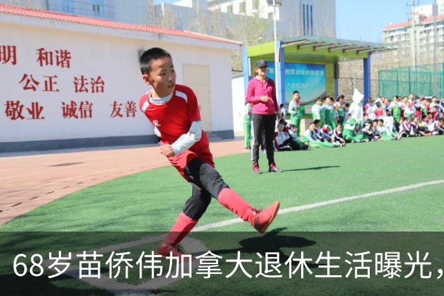 68岁苗侨伟加拿大退休生活曝光，遛狗赏花好惬意，两鬓花白仍健硕